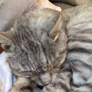 Meet your Posher, Zack